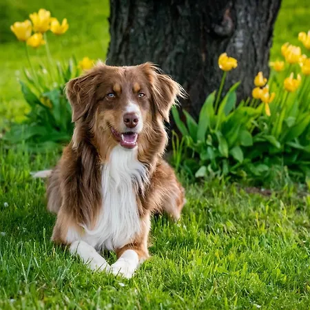 Im Mueritz Дом отдыха *