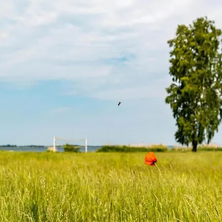 Im Mueritz Дом отдыха Рехлин