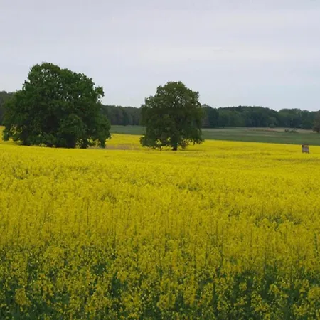 Im Mueritz * Рехлин